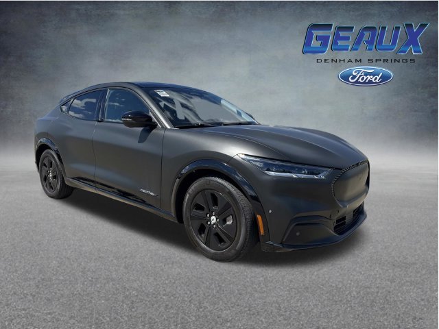 Used 2023 Blue Ford California Route 1 image 1