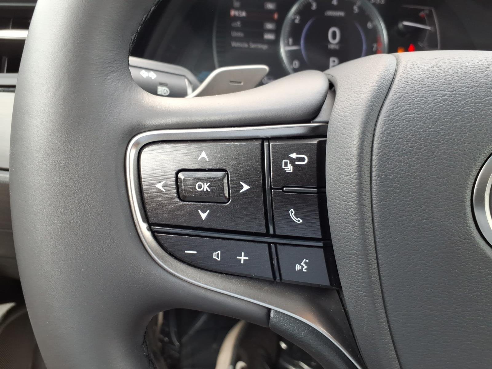 Certified Used 2024 Caviar Lexus 4dr Sedan image 22