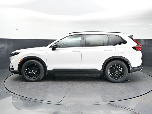New 2026 Platinum White Pearl Honda Sport image 8