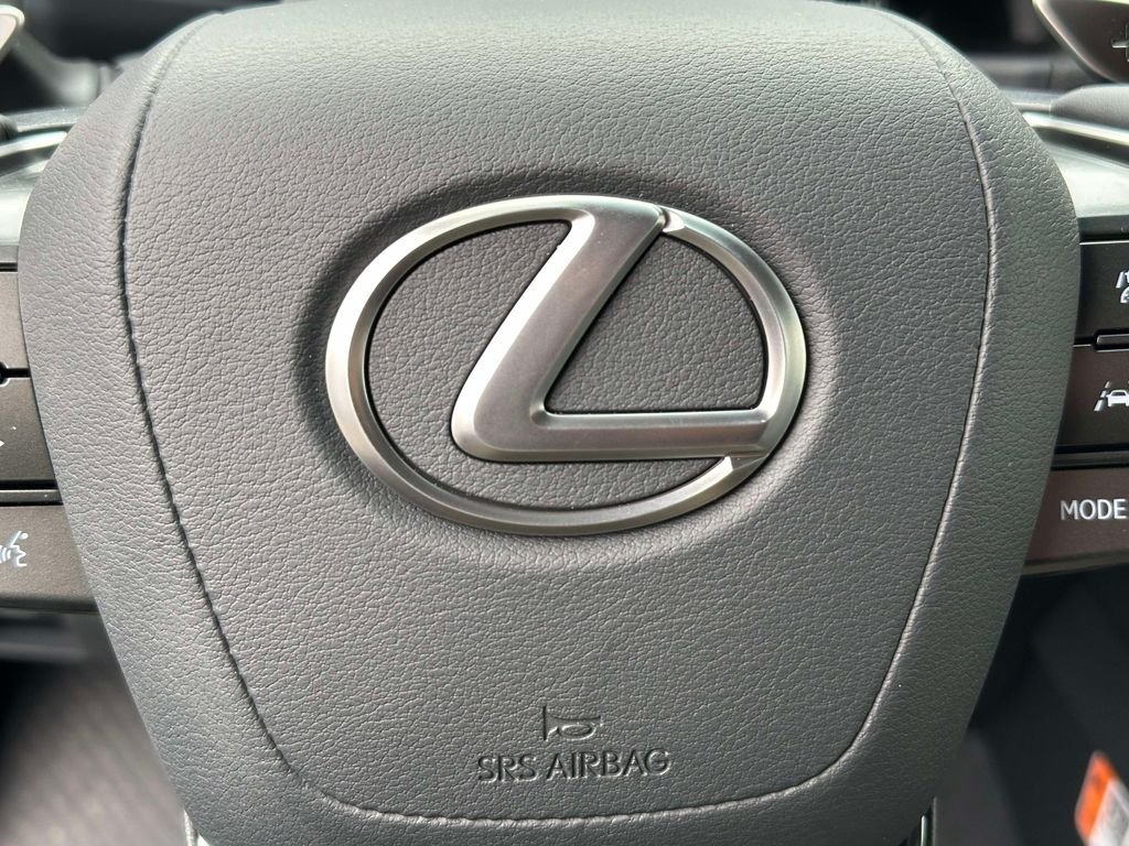 2026 Lexus LX 600 Luxury - Photo 18