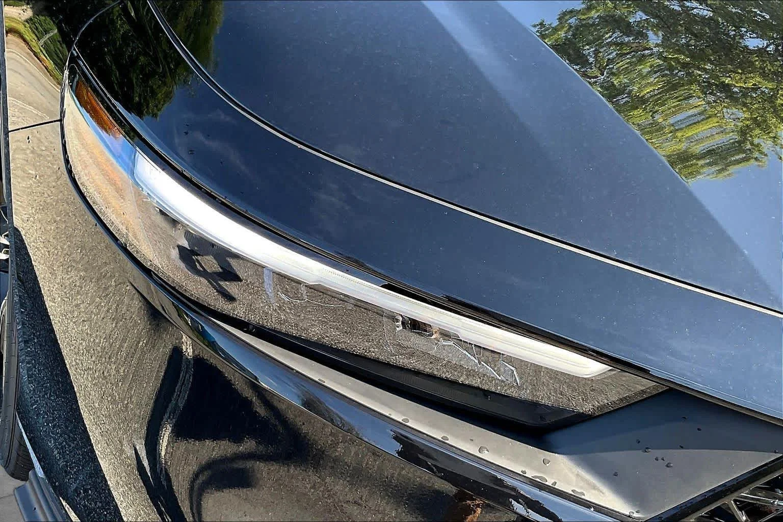 New 2026 Crystal Black Pearl Honda SE image 13