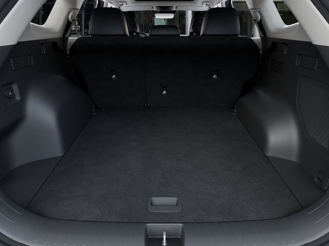 New 2027 Fusion Black Kia SX Prestige image 19