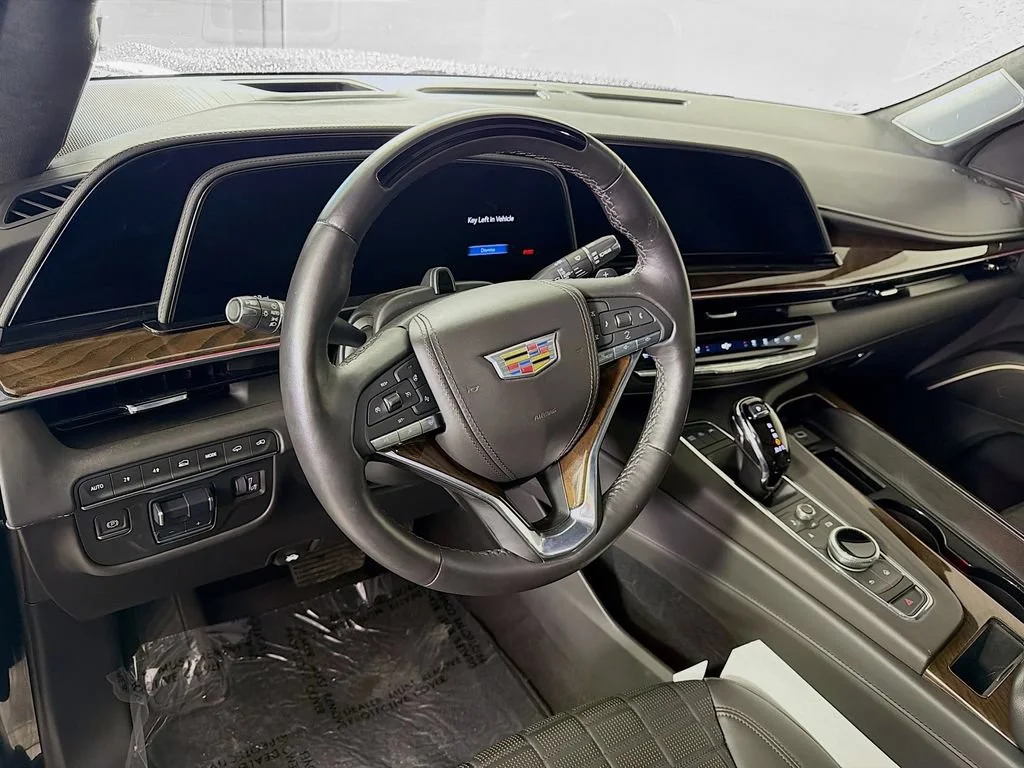 2024 Cadillac Escalade ESV Premium Luxury Platinum - Photo 10
