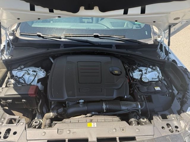 Certified Used 2026 White Land Rover Dynamic SE image 7