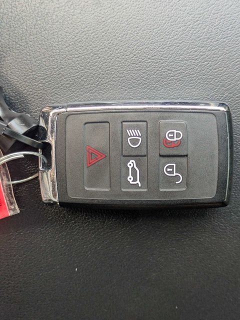 Used 2024 Blue Jaguar P250 image 35