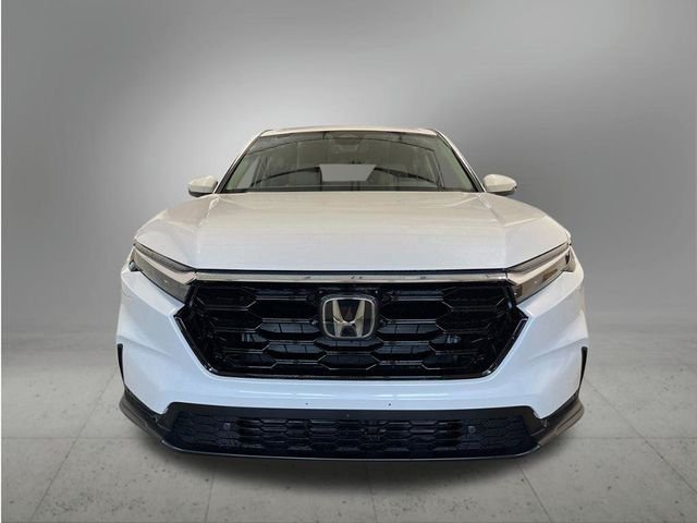 New 2026 Platinum White Pearl Honda EX-L image 9