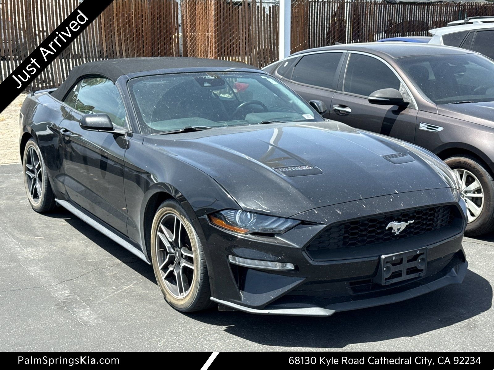 2021 Ford Mustang EcoBoost Convertible's photo