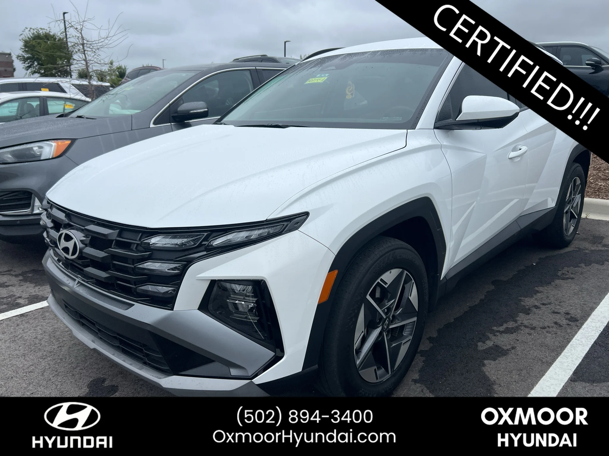 Used 2025 Serenity White Pearl Hyundai SEL image 3