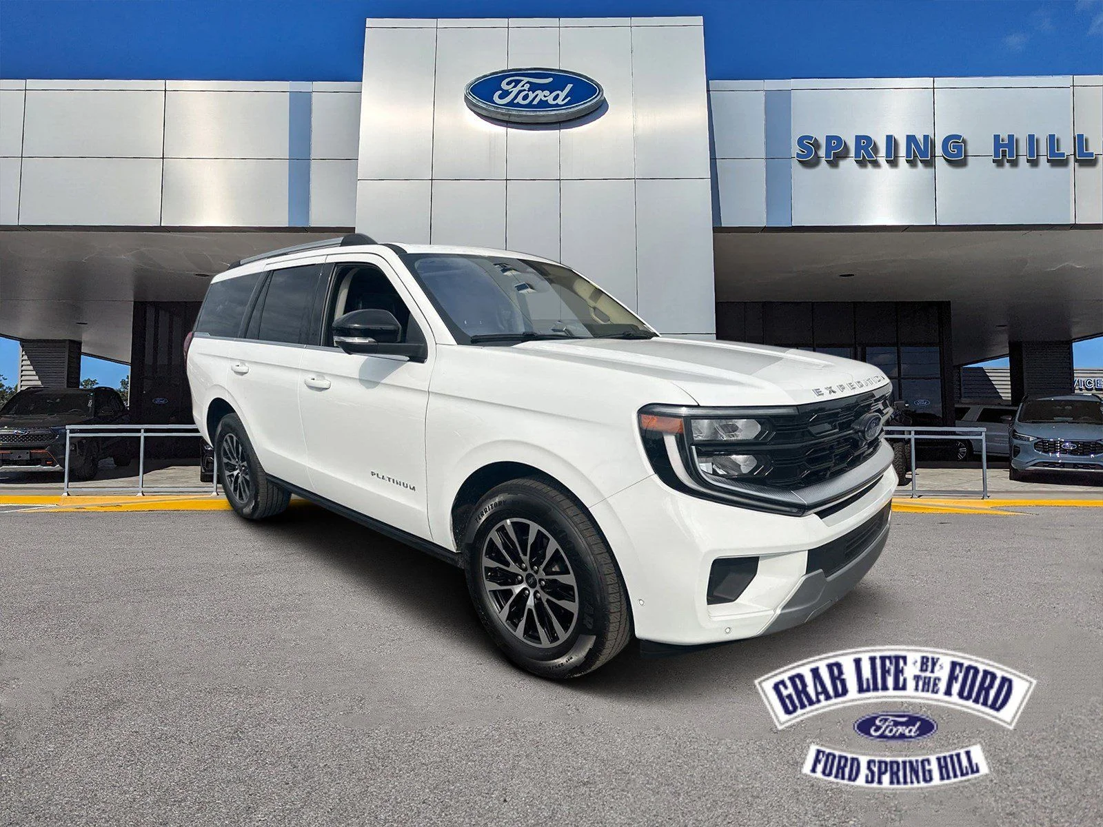 2025 Ford Expedition Platinum 4x4's photo