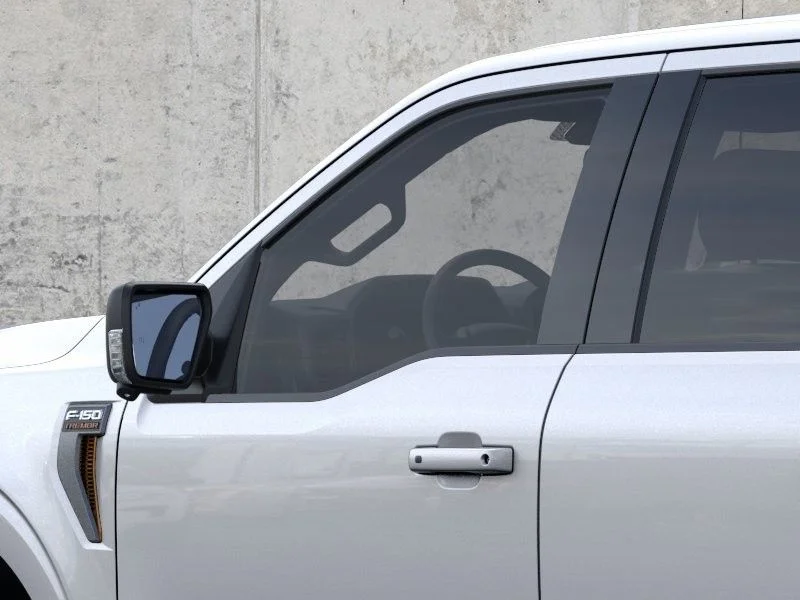 New 2026 Silver Ford Tremor image 21