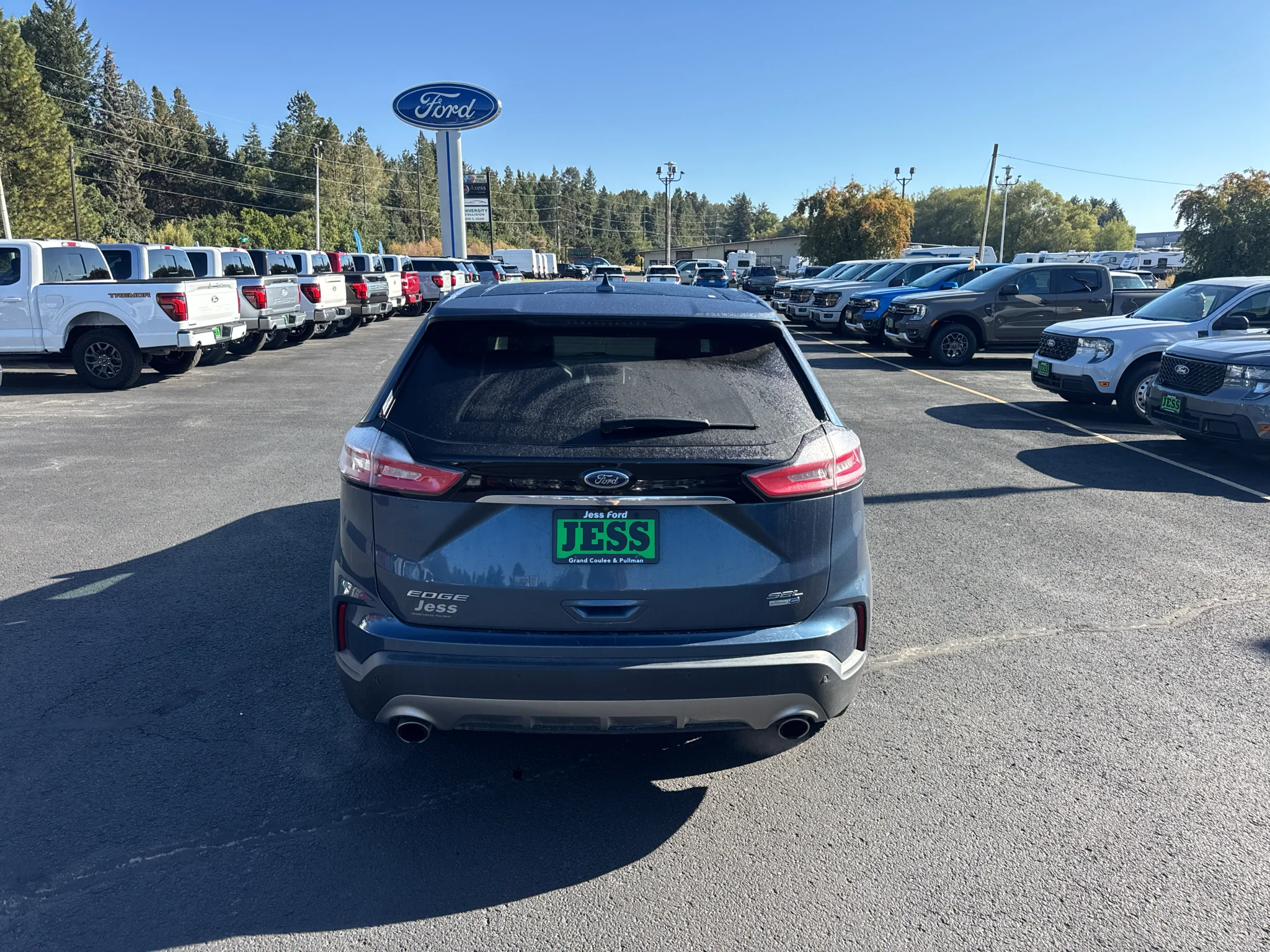 Used 2019 Blue Metallic Ford SEL image 10