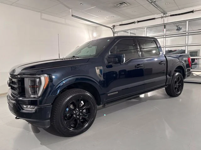 Used 2023 Blue Ford Platinum image 3