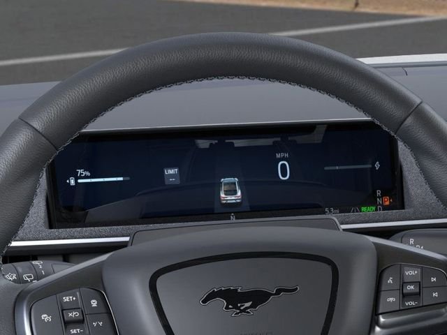 2025 Ford Mustang Mach-E GT - Photo 13