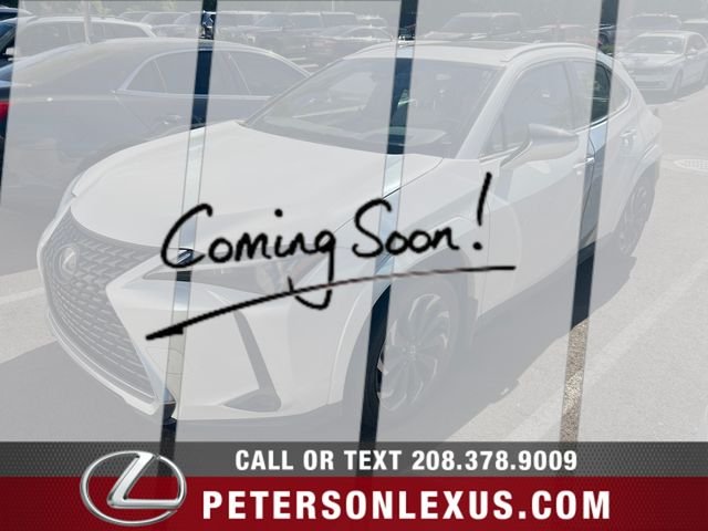 2023 Lexus UX 300h 250h Premium AWD's photo