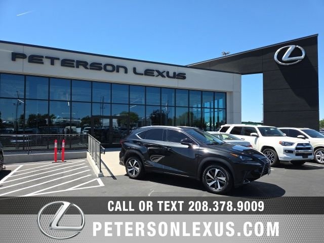 2020 Lexus NX 300