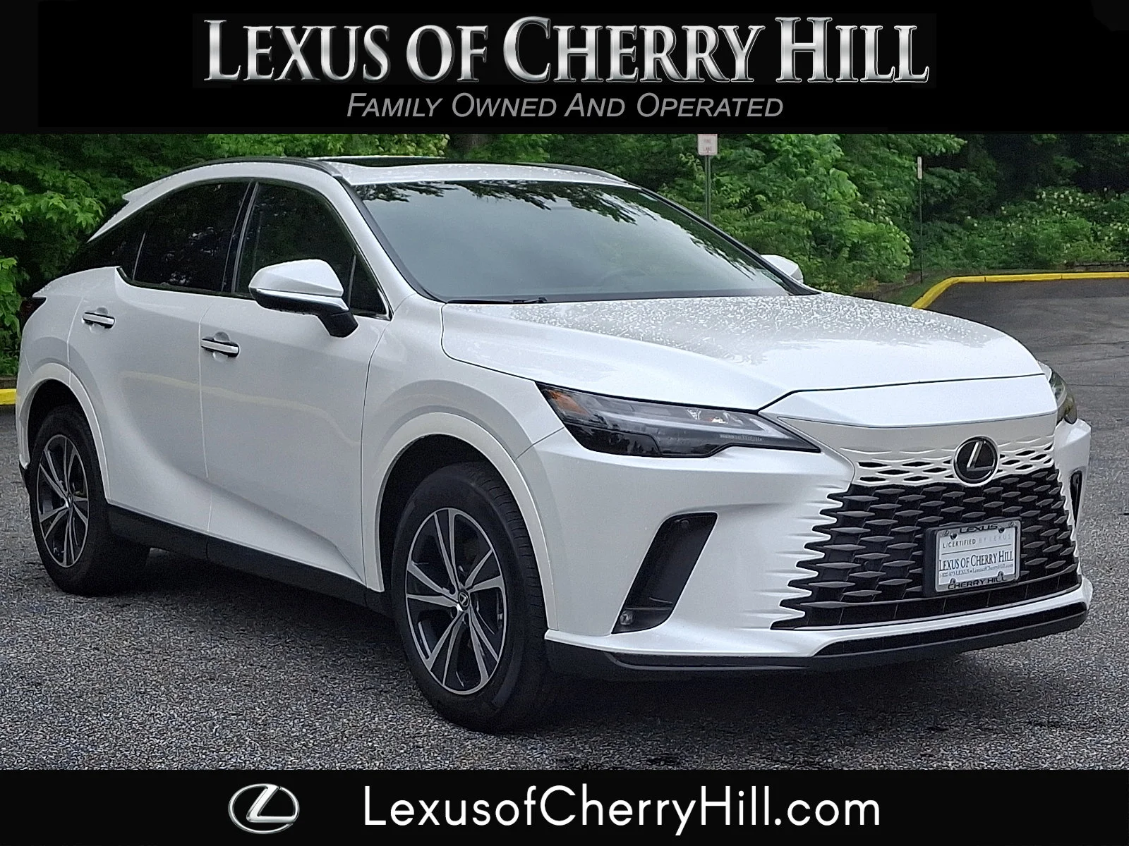 2025 Lexus RX 350's photo