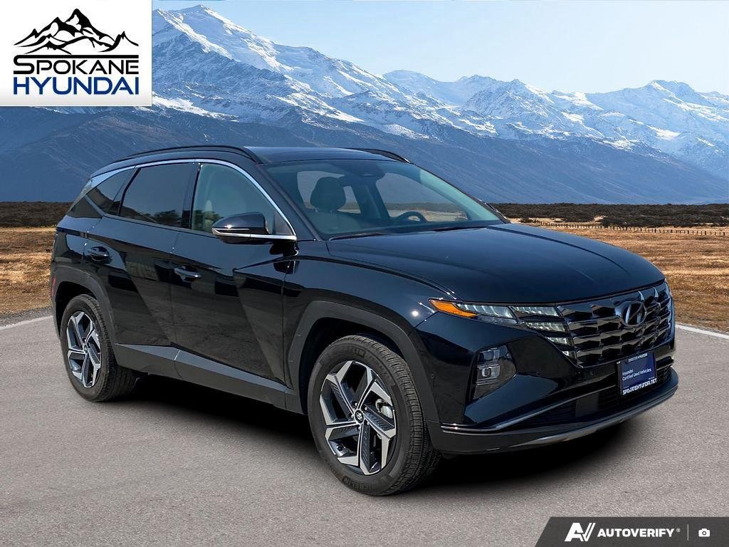 Certified Used 2024 Black Pearl Hyundai Limited image 8