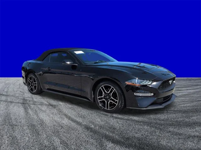 Used 2019 Black Ford EcoBoost Premium image 2