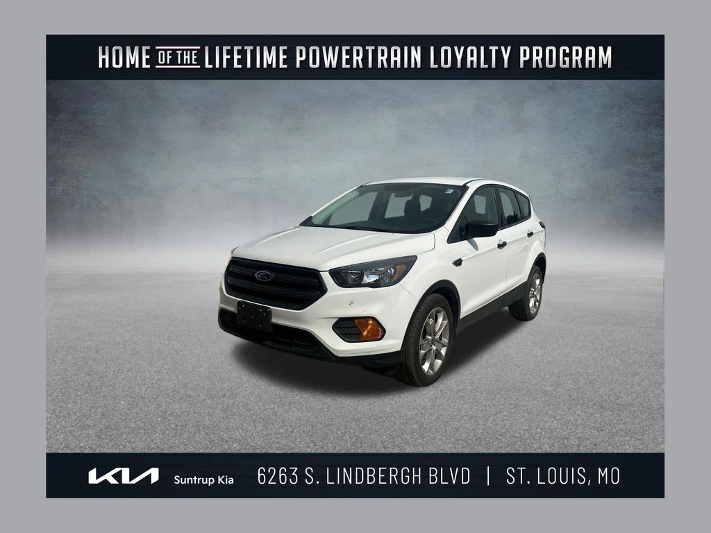 Used 2019 White Ford S image 1