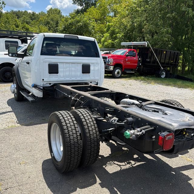 Used 2024 White Ram Tradesman image 2