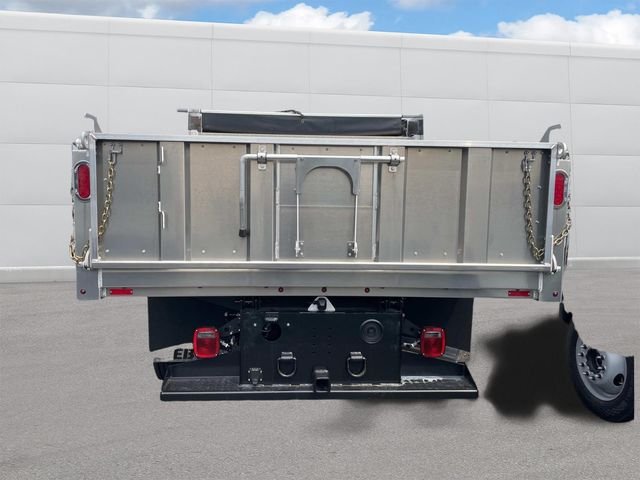 New 2026 Oxford White Ford F-450® XL image 3