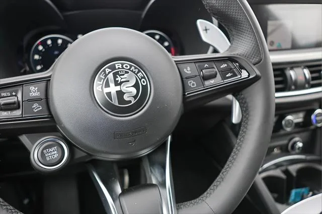 2025 Alfa Romeo Stelvio Base - Photo 13