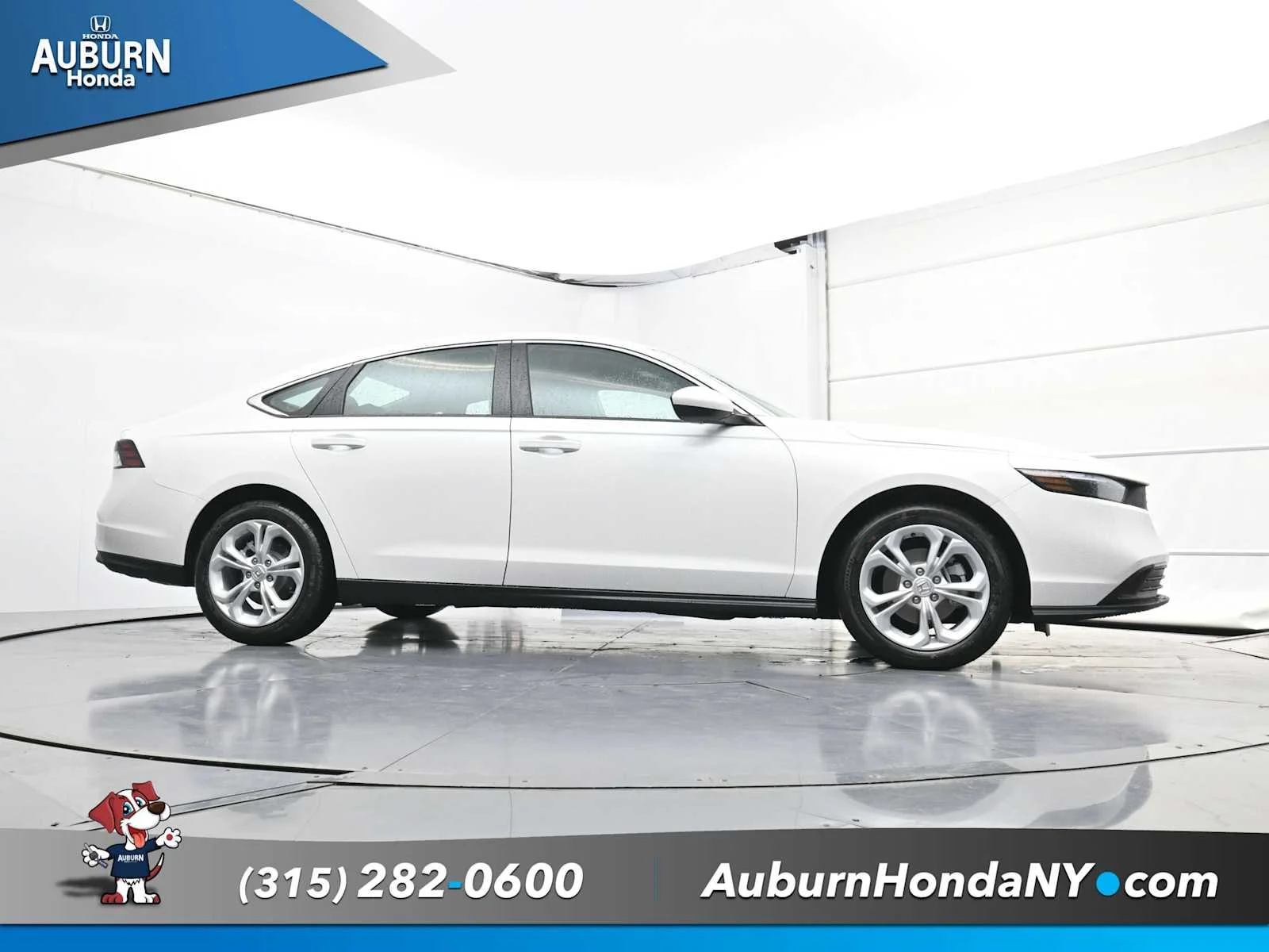 New 2025 Platinum White Pearl Honda LX image 23