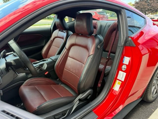 Used 2024 Red Ford GT Premium image 13