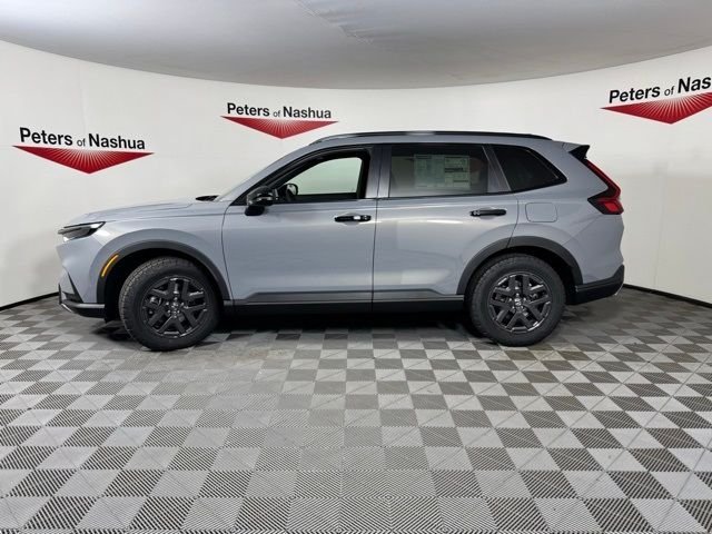 New 2026 Urban Gray Pearl Honda TrailSport image 4