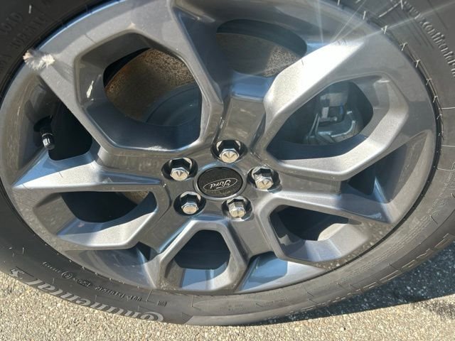 New 2026 Shadow Black Ford XLT image 10