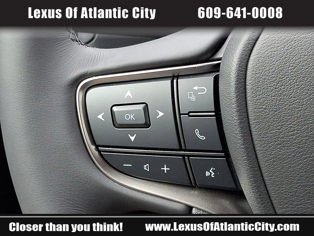 2025 Lexus UX Hybrid 300h Premium - Photo 22