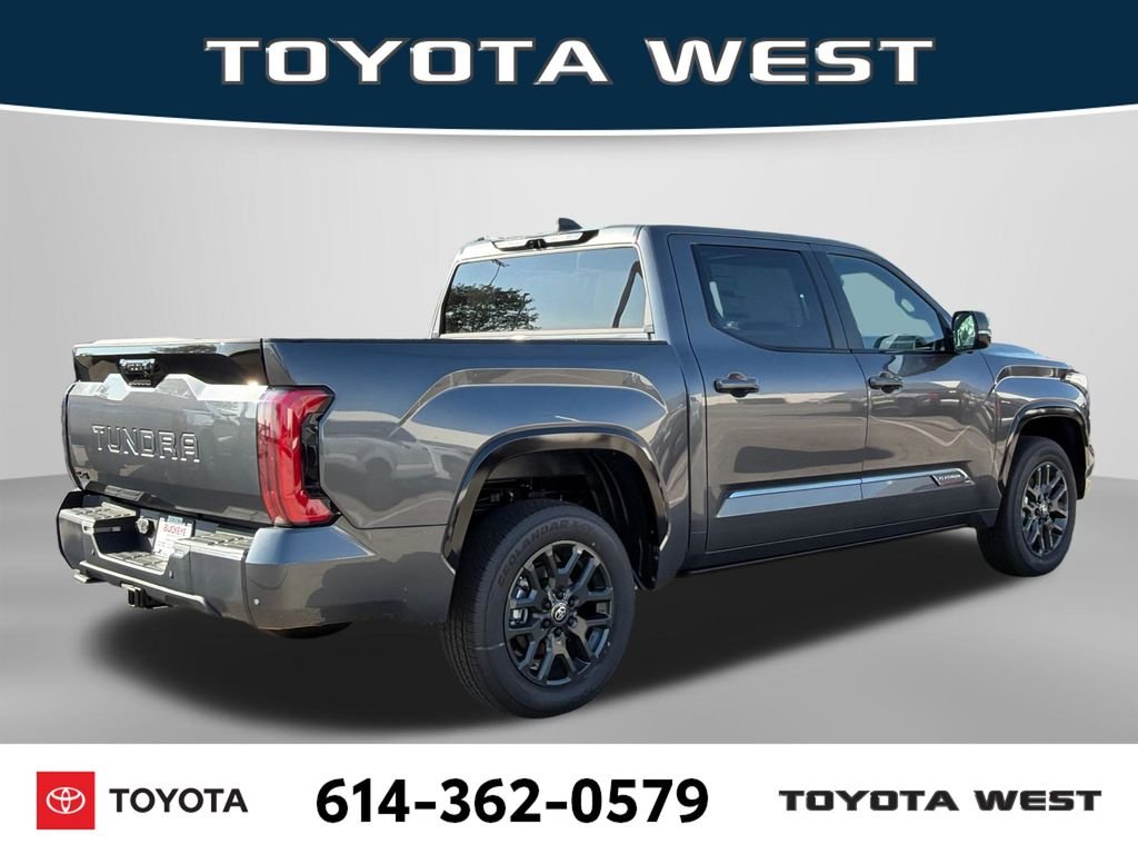 New 2026 Magnetic Gray Metallic Toyota Platinum image 7