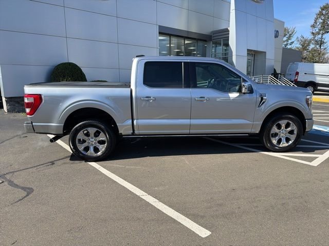 Used 2022 Silver Ford Platinum image 8
