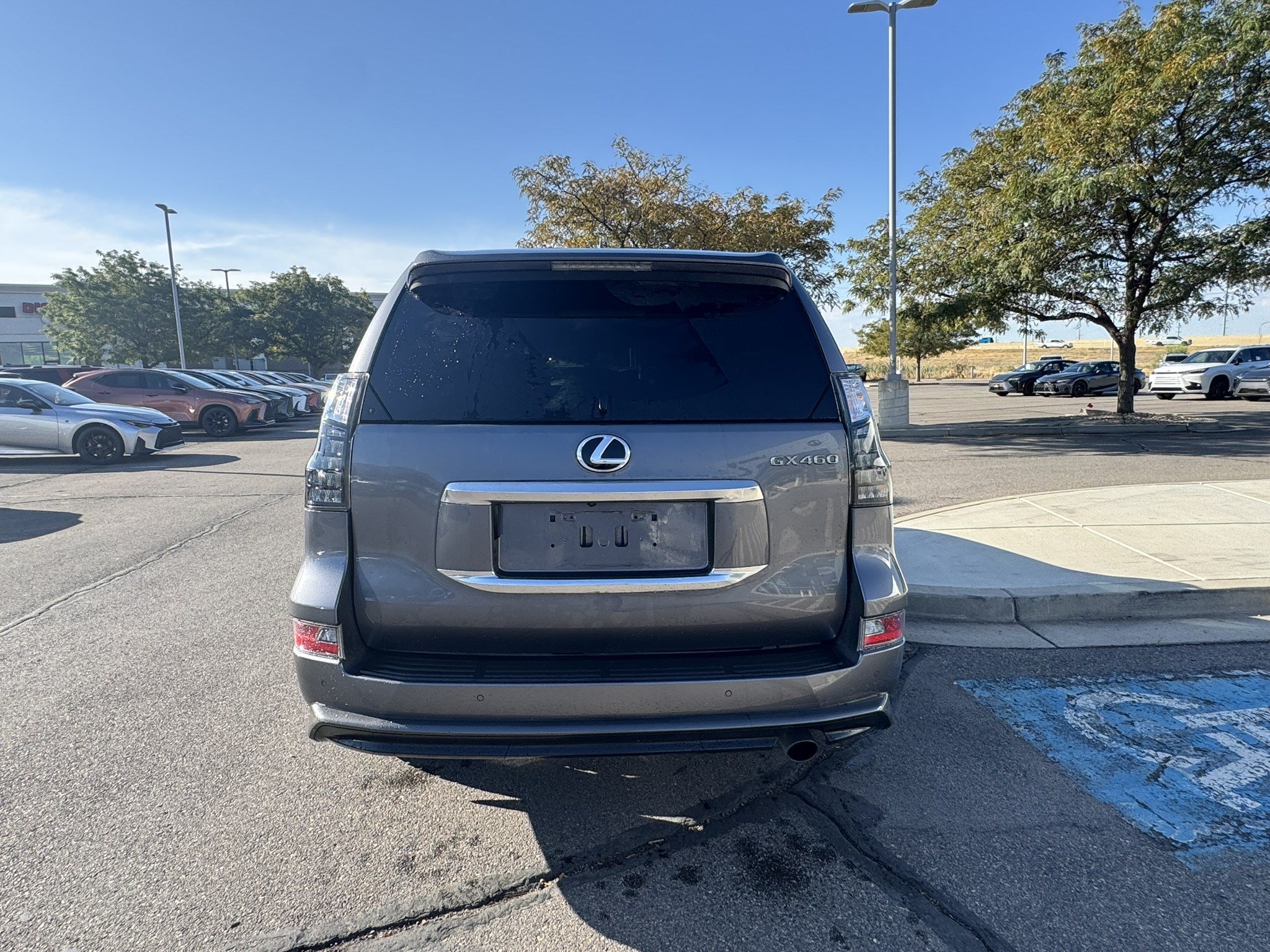 Used 2023 Gray Pearl Lexus 460 Luxury image 5