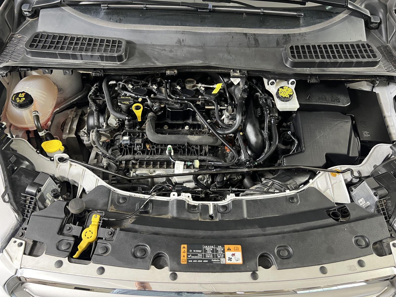 Used 2019 Oxford White Ford SEL image 30
