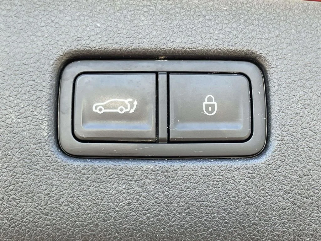 Used 2025 Red Genesis 2.5T image 9