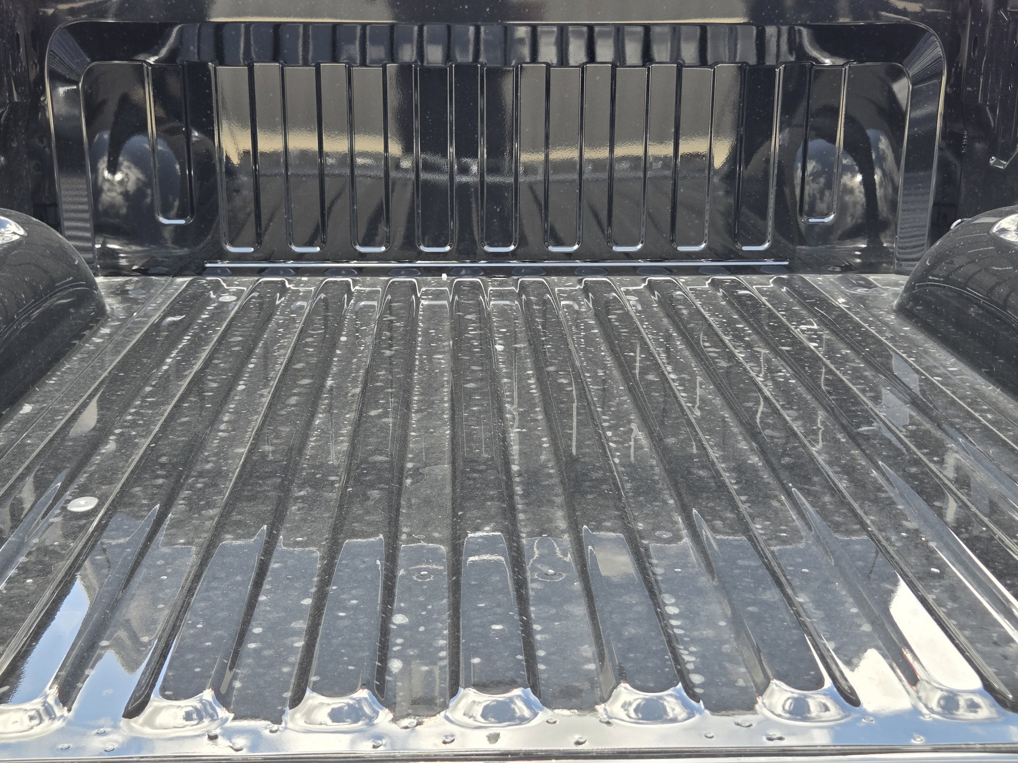 New 2026 Diamond Black Crystal Pearl-Coat Exterior Paint RAM Express image 23