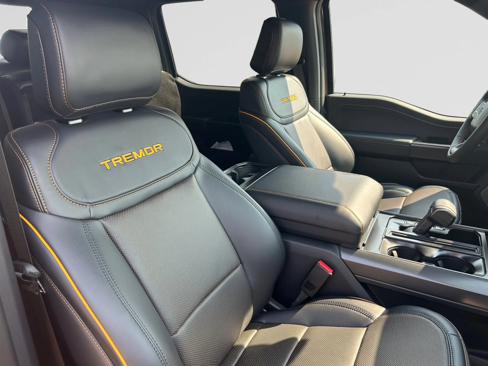 New 2026 Marsh Grey Ford Tremor image 12
