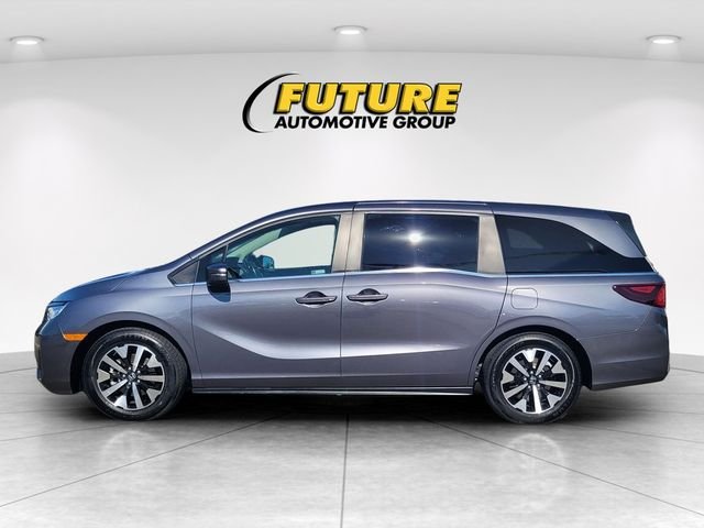 Used 2025  Honda EX-L image 6