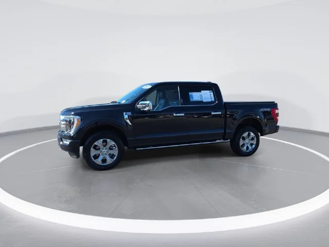 Used 2023 Black Ford Platinum image 6