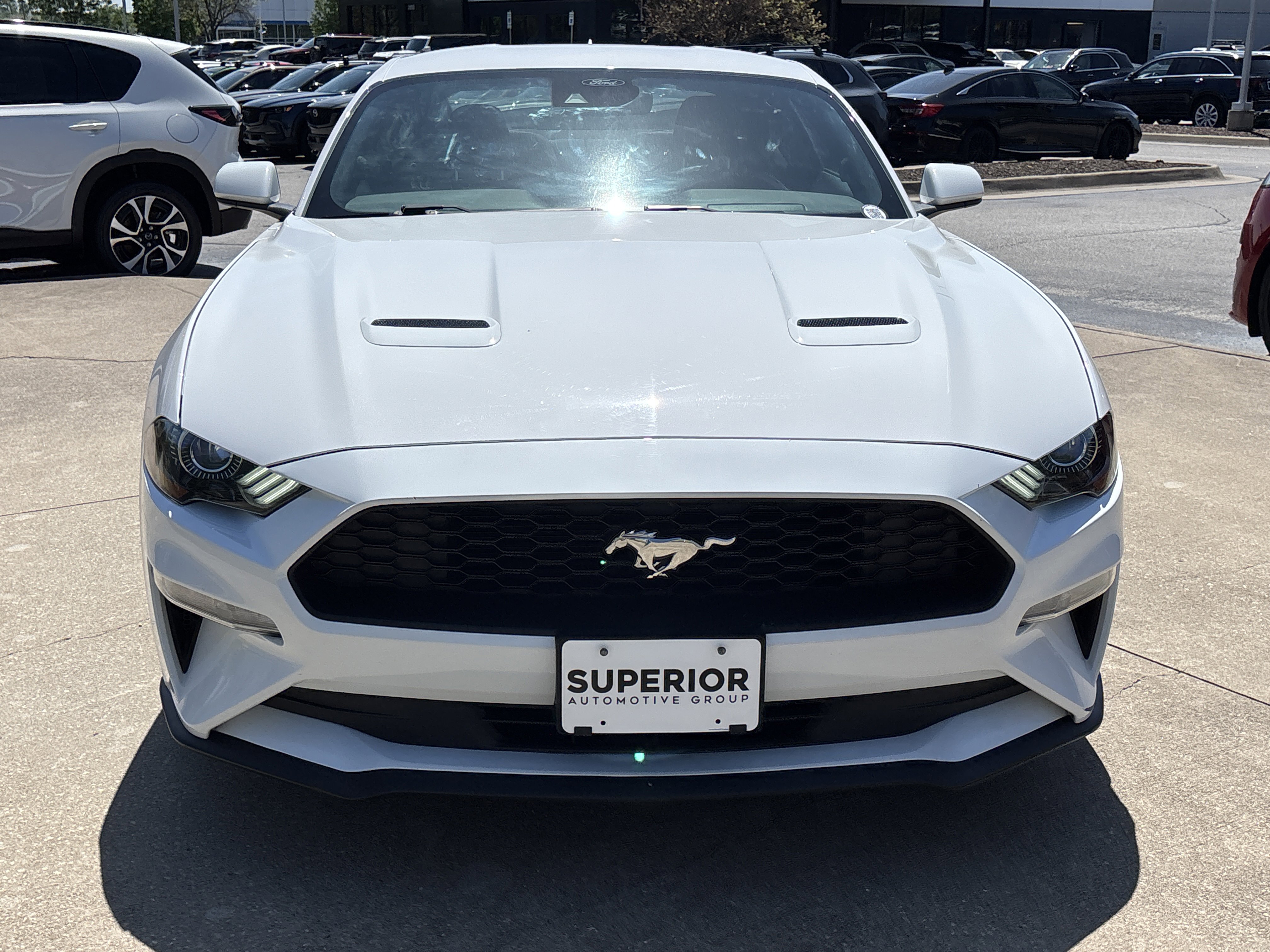 Used 2021 Oxford White Ford EcoBoost image 9