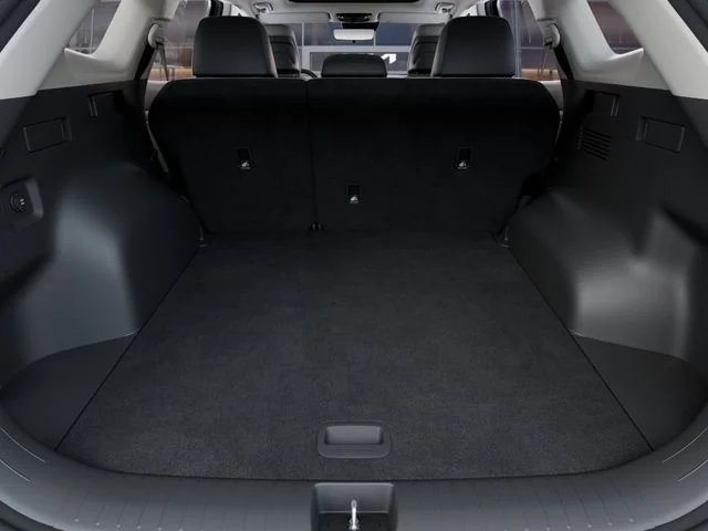 New 2026 Panthera Metal Kia EX image 19