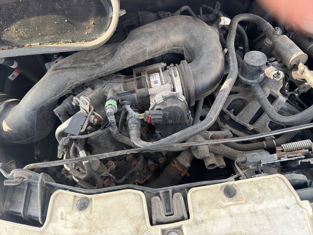 Photo 48