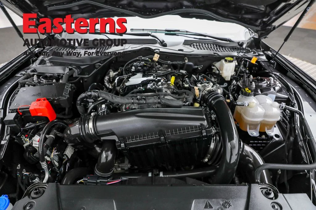 Used 2024 Gray Ford EcoBoost image 7