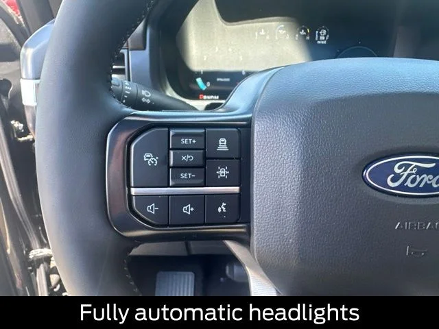 New 2026 Agate Black Metallic Ford Platinum® image 24