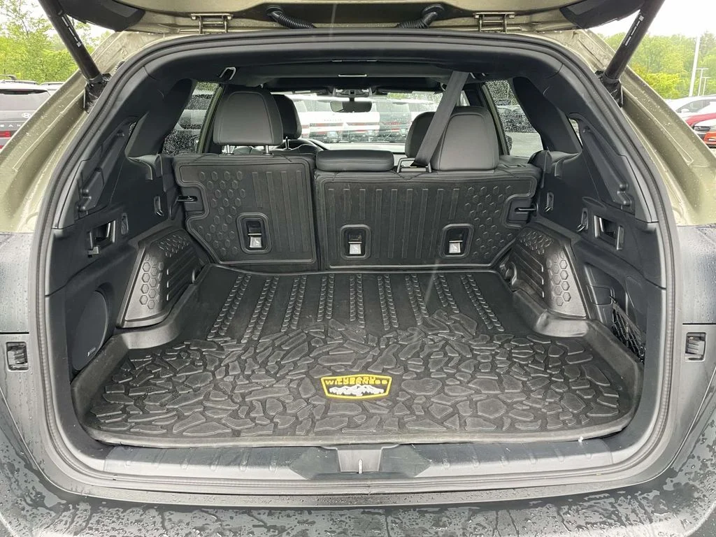 2025 Subaru Outback Wilderness - Photo 29