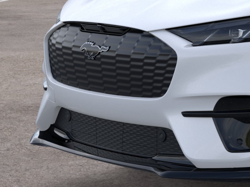 2025 Ford Mustang Mach-E GT - Photo 39