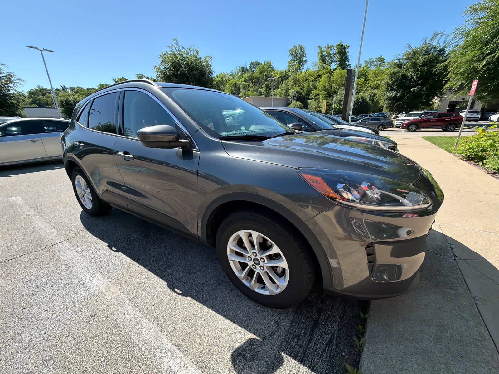 2020 Ford Escape SE AWD's photo