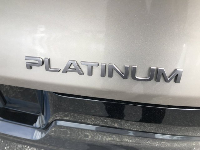 New 2026 Champagne Silver Metallic Nissan Platinum image 9