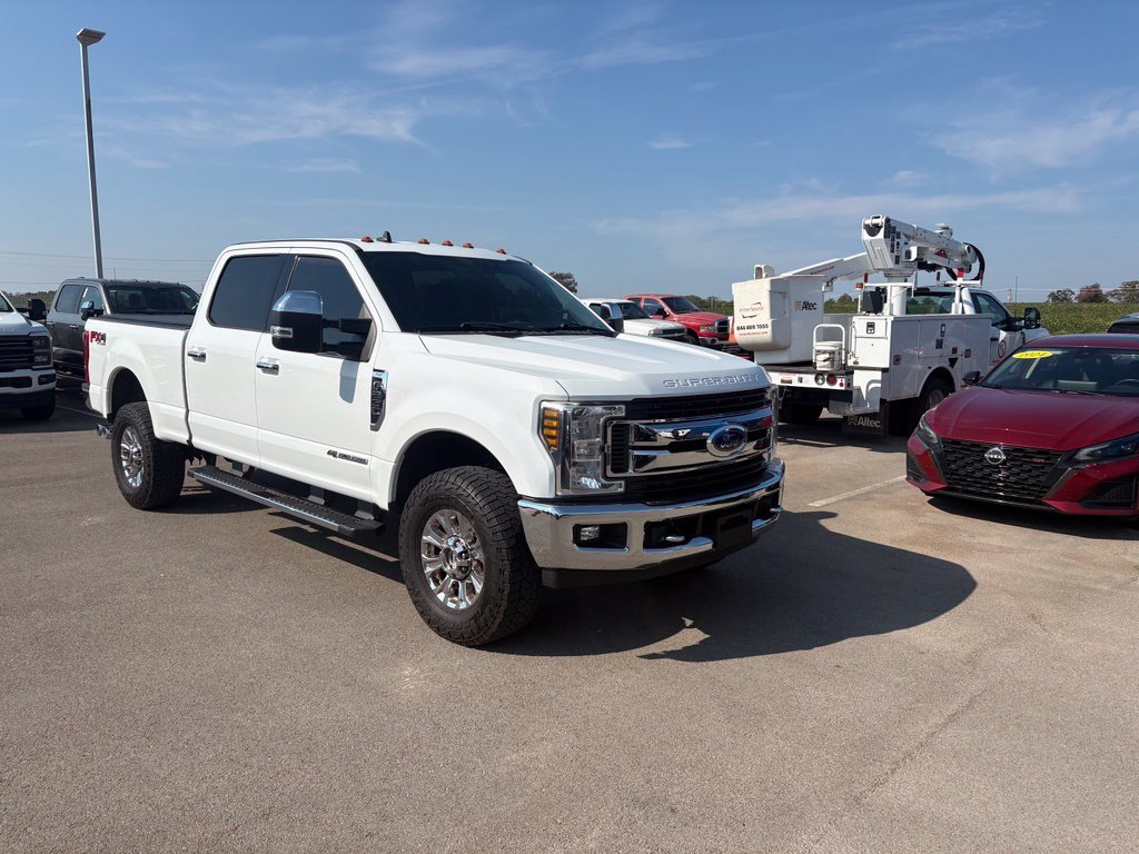 Used 2019 White Ford XLT image 2